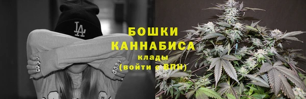 Альфа ПВП Карпинск
