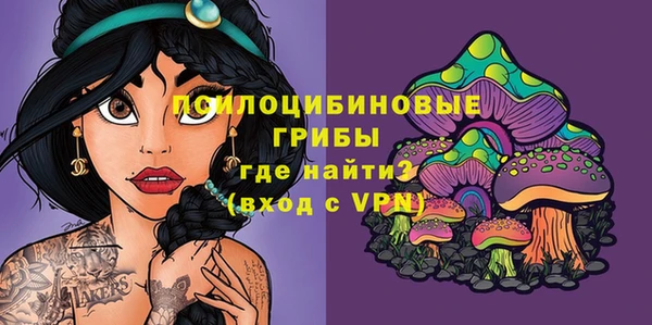 спиды Карталы